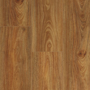 Spotted Gum- Aqua