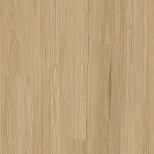 New England Blackbutt
