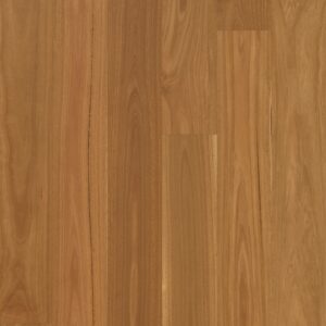 Spotted Gum Natural